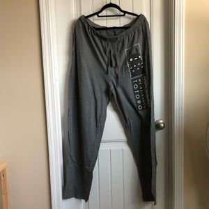 Torrid Totoro sweatpants